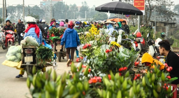 Các khu vực được săn đón tại Xã Mê Linh: QL23B, chợ hoa Hạ Lôi, đường liên xã…