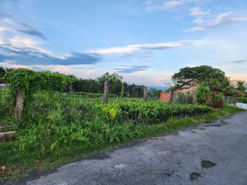 BĐS Chợ Lách, Bến Tre