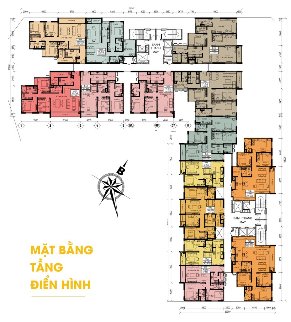 Mặt bằng căn hộ chung cư Chelsea Park Cầu Giấy, Hà Nội