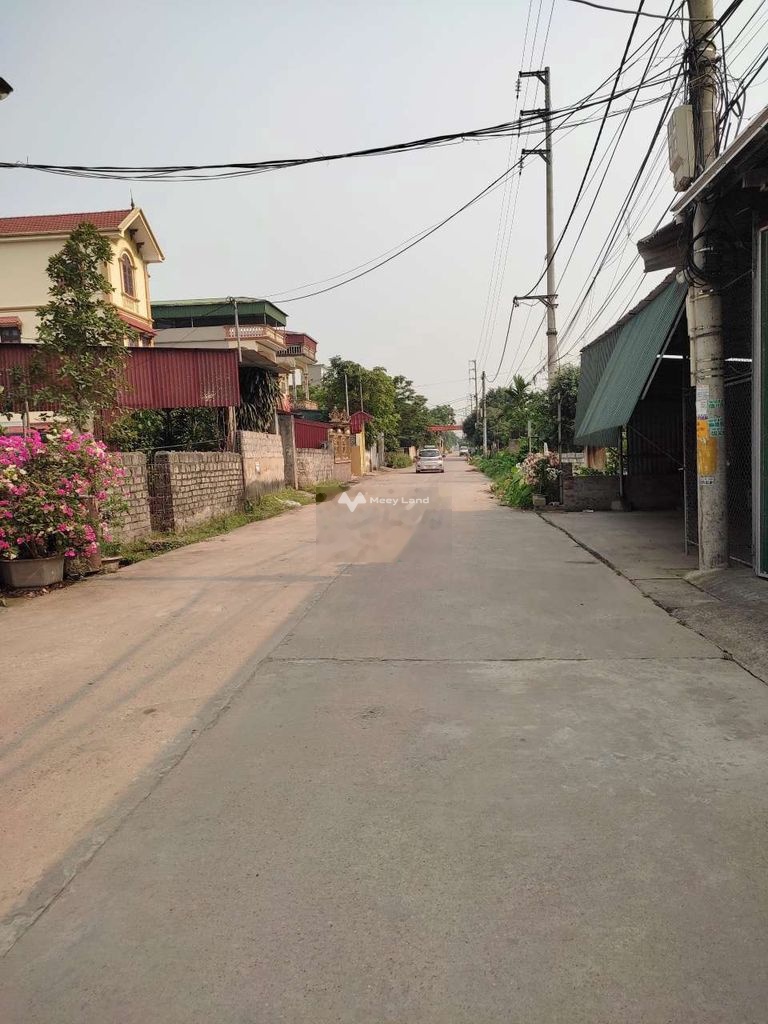 Bán đất tại Tự Nhiên, Thường Tín, Hà Nội. Diện tích 287m2-03