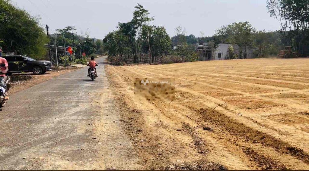 Bán đất 299 triệu, diện tích 300m2 tại QL14 , Xã Đồng Tâm, Huyện Đồng Phú, Bình Phước-02