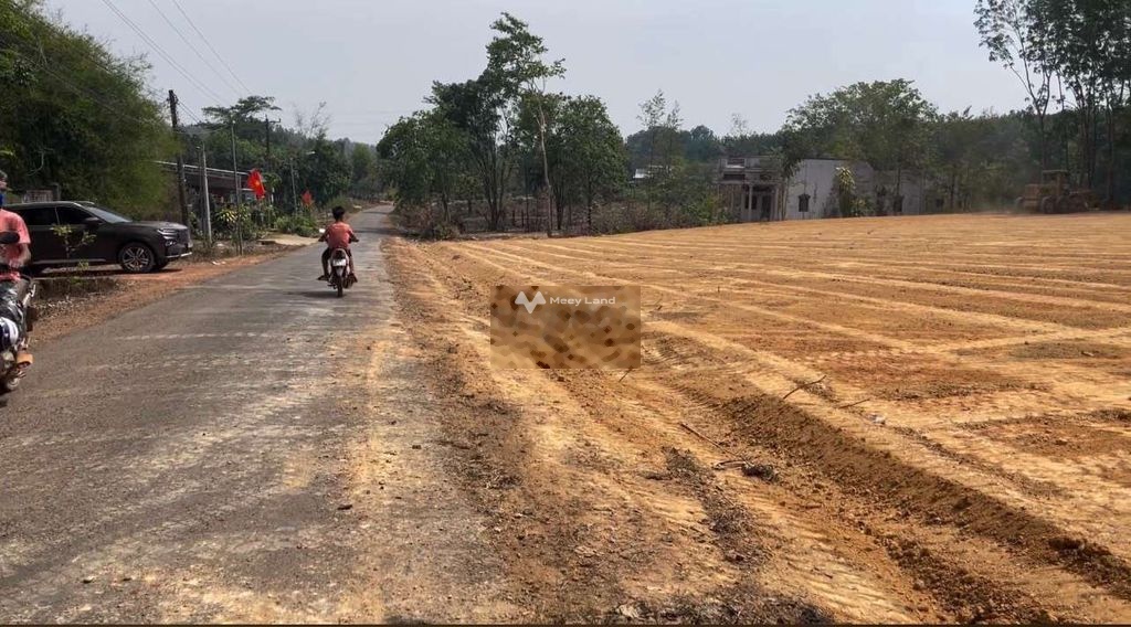 Bán đất 500 triệu, diện tích 500m2 tại Dh, Xã Đồng Tâm, Huyện Đồng Phú, Bình Phước-03