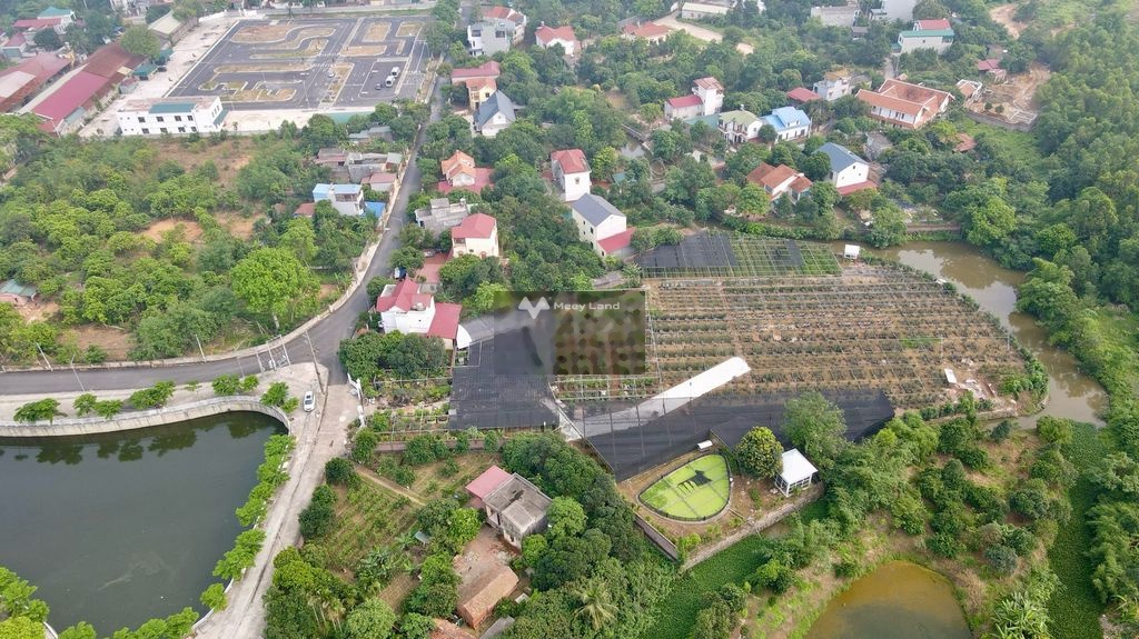 Cần bán đất tại Nguyễn Thị Minh Khai, Phúc Yên, Vĩnh Phúc. Diện tích 7500m2-02