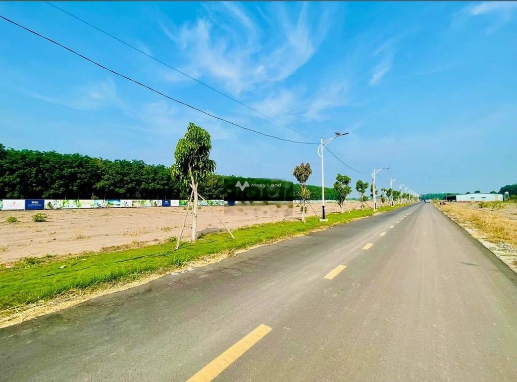 Bán đất 430 triệu, diện tích 230m2 tại Đường tỉnh 741, Xã Thuận Lợi, Huyện Đồng Phú, Bình Phước-03