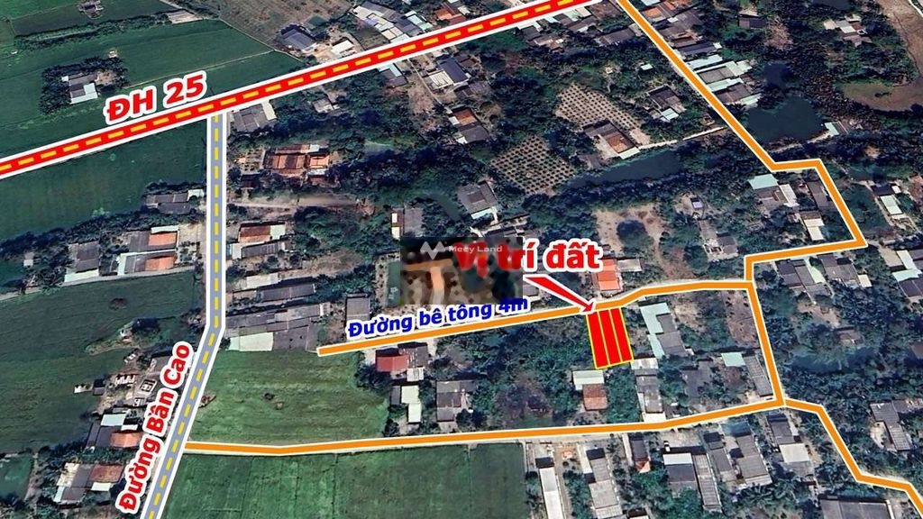 Bán đất 320 triệu, diện tích 103m2 tại Dh 25, Xã Tân Phước Tây, Huyện Tân Trụ, Long An-01