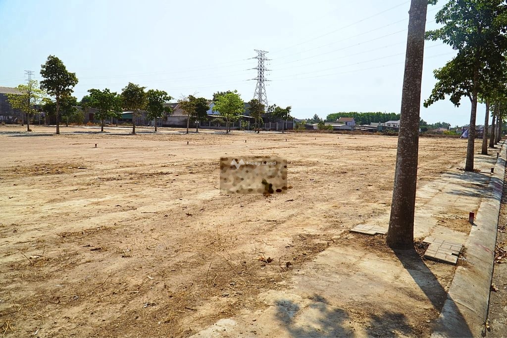 Bán đất 650 triệu, diện tích 80m2 tại Vỗ Nguyên Giáp, Xã Bình Minh, Huyện Trảng Bom, Đồng Nai-03