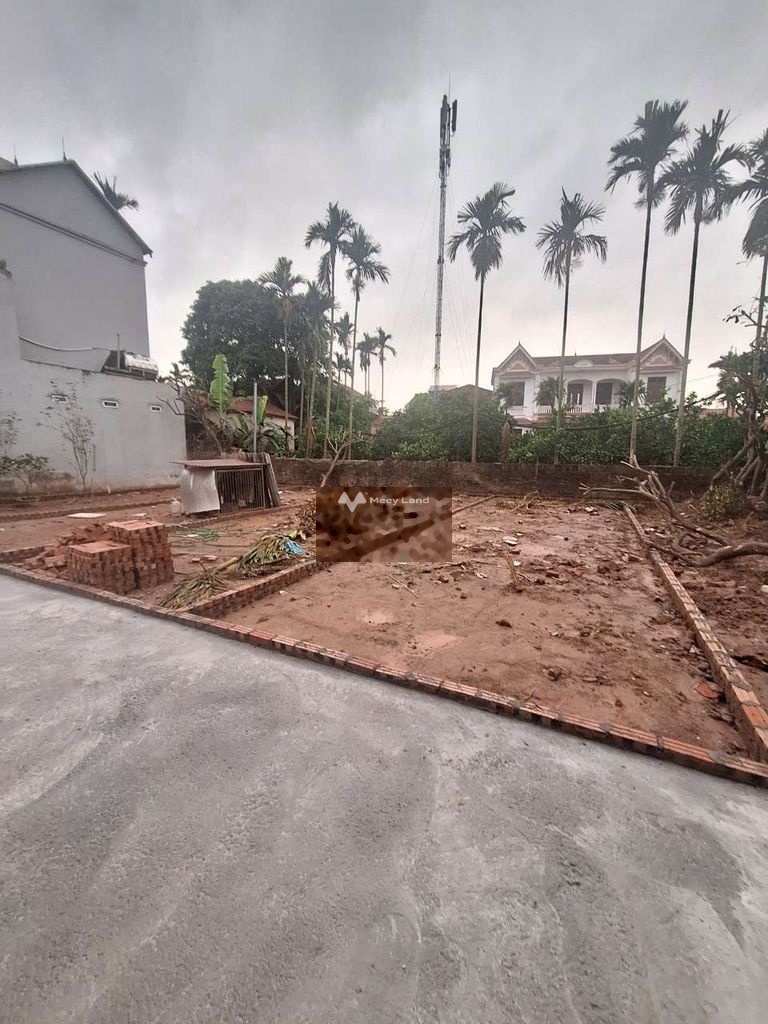 Bán mảnh đất tại Vân Nội, Vân Trì, Đông Anh. Diện tích 43m2-02
