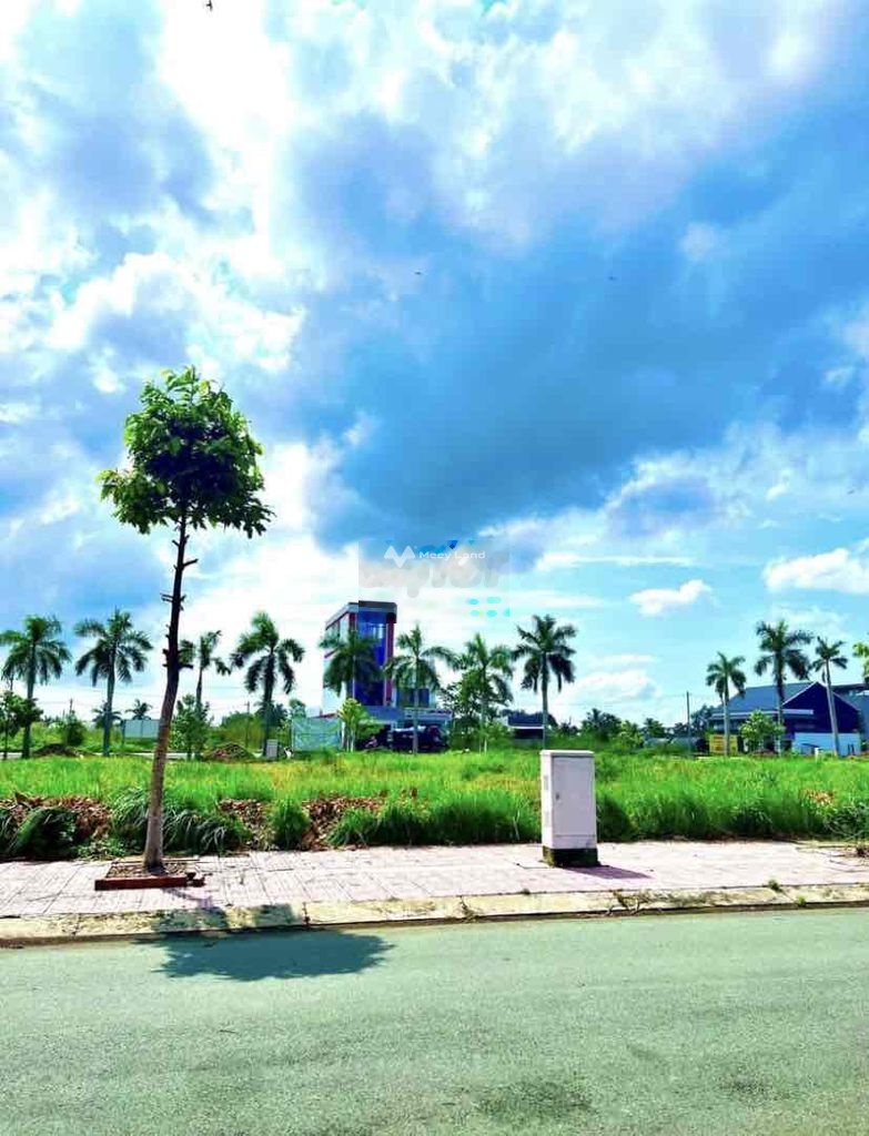 Bán đất 1,15 tỷ, diện tích 120m2 tại Đường Nguyễn Trung Trực, Xã Long Cang, Huyện Cần Đước, Long An-01