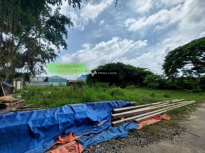 Bán đất 7,8 tỷ, diện tích 800m2 tại Vĩnh Lộc B, Xã Vĩnh Lộc B, Huyện Bình Chánh-03