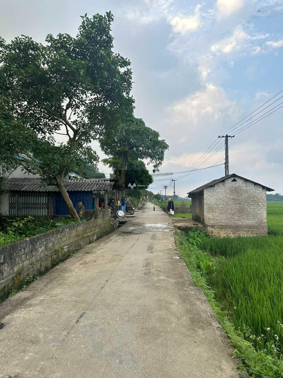 Bán đất tại Phú Cường, Tân Lạc, Hoà Bình. Diện tích 180m2-03