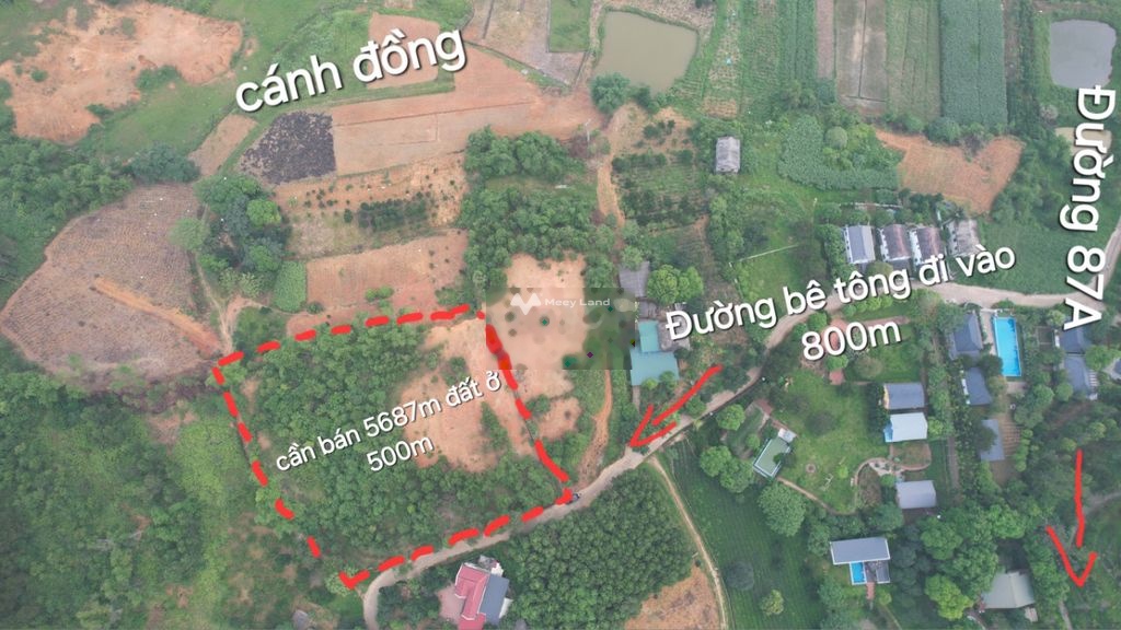 Cần bán đất tại Yên Bài, Ba Vì, Hà Nội. Diện tích 5867m2-03