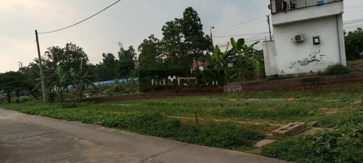 Bán đất diện tích 225m2 tại Trần Quốc Nghiễn, Đông Triều, Quảng Ninh-02