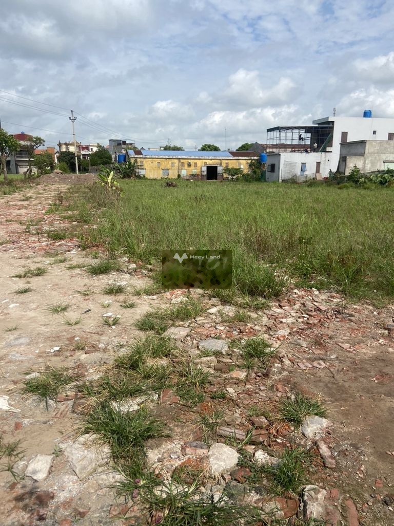 Bán đất tại Nam Hà, Tiền Hải, Thái Bình. Diện tích 2000m2-02