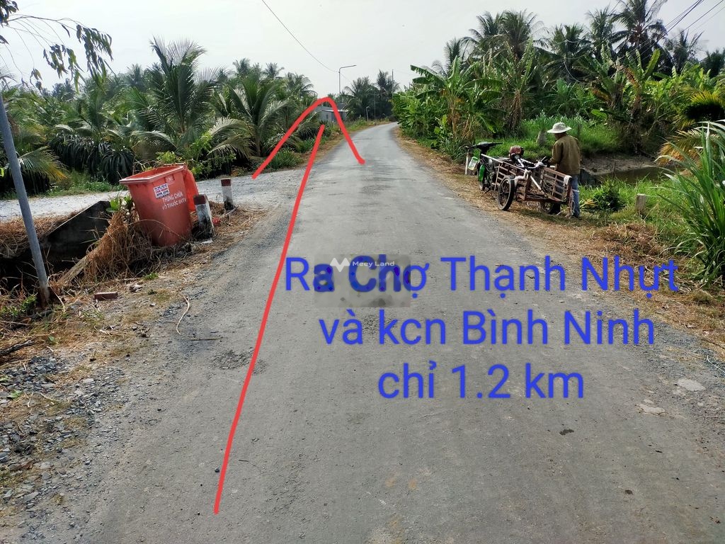 Bán đất 390 triệu, diện tích 177m2 tại Đường Lê Thị Lệ Chi , Xã Bình Ninh, Huyện Chợ Gạo, Tiền Giang-02