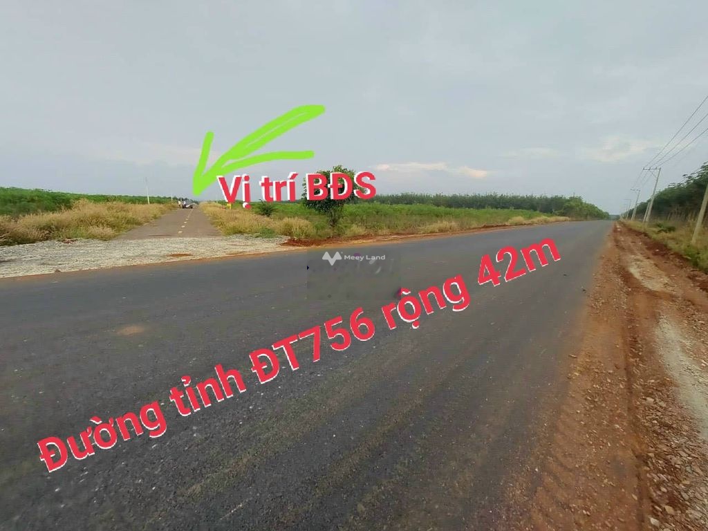 Bán đất 485 triệu, diện tích 1200m2 tại Đường tỉnh 756, Xã Tân Hưng, Huyện Hớn Quản, Bình Phước-02