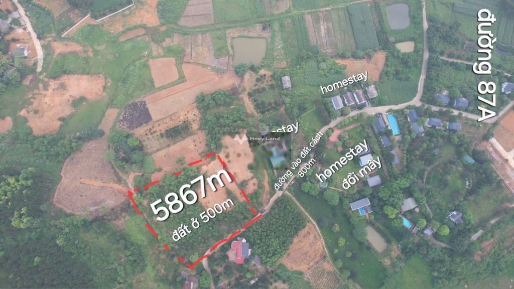 Cần bán đất tại Yên Bài, Ba Vì, Hà Nội. Diện tích 5867m2-01