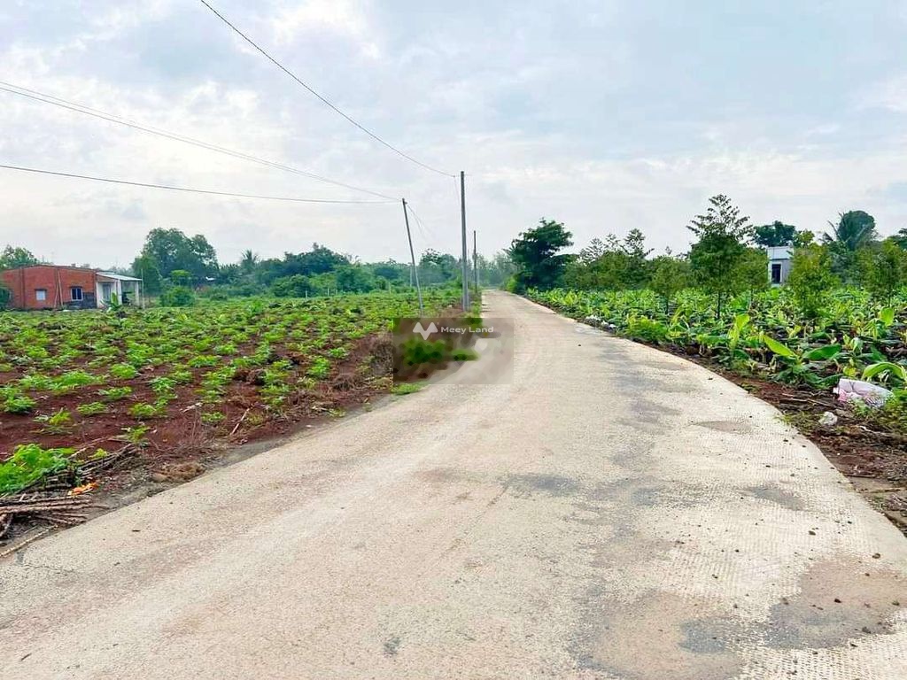 Bán đất 1,1 tỷ, diện tích 1000m2 tại Tây Hoà 5, Xã Tây Hoà, Huyện Trảng Bom, Đồng Nai-03