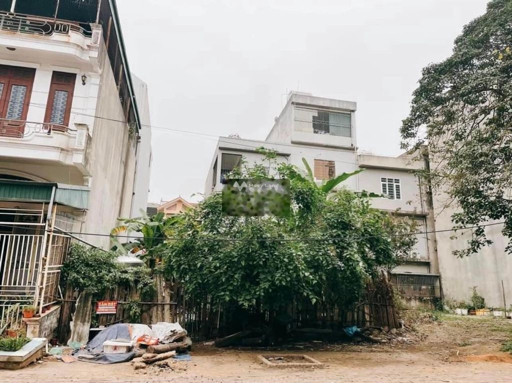 Bán đất tại Yết Kiêu, Hạ Long, Quảng Ninh. Diện tích 82,5m2-03