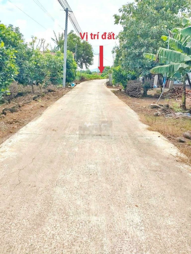 Bán đất 1,1 tỷ, diện tích 1000m2 tại Tây Hoà 5, Xã Tây Hoà, Huyện Trảng Bom, Đồng Nai-02