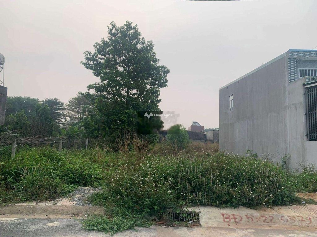 Bán đất 800 triệu, diện tích 100m2 tại Đường Quốc lộ 51, Phường Phước Tân, Thành phố Biên Hòa, Đồng Nai-02