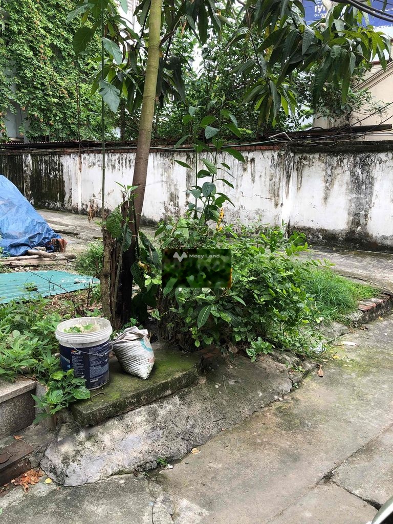 Bán đất tại phố Phan Đình Giót, Hà Đông. Diện tích 36m2-02