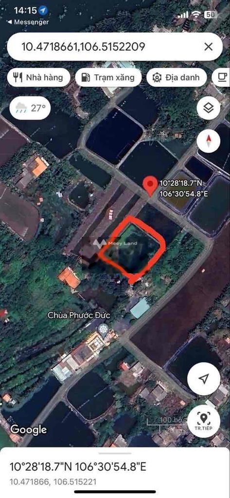 Bán đất 250 triệu, diện tích 2000m2 tại Ấp Bình Hoà, Xã Đức Tân, Huyện Tân Trụ, Long An-01