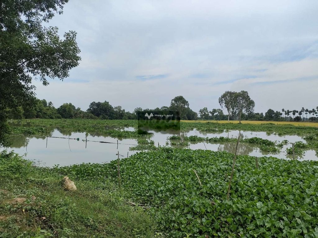 Bán đất 395 triệu, diện tích 240m2 view sông Vàm Cỏ Tây Ninh tại Phước Lộc, Xã Phước Vinh, Huyện Châu Thành, Tây Ninh-03