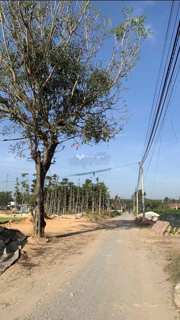 Bán đất 40 tỷ, diện tích 20000m2 gần nhiều tiên ích tại Bình Minh giang Điền, Xã Quảng Tiến, Huyện Trảng Bom, Đồng Nai-01