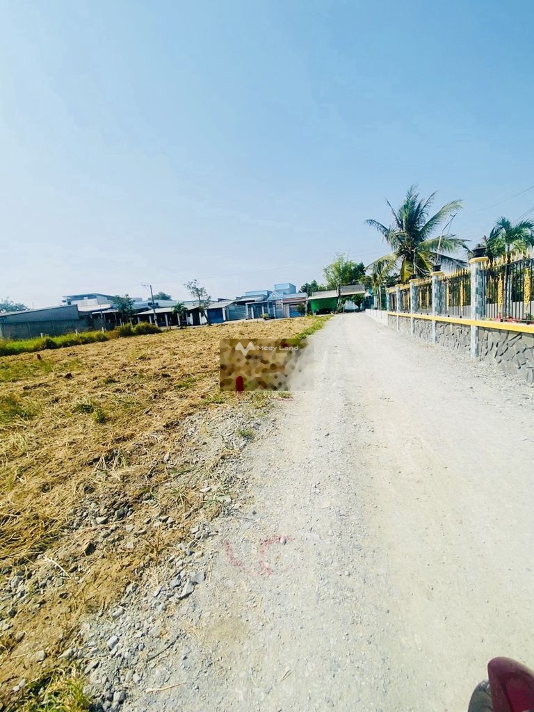 Bán đất 650 triệu, diện tích 120m2 tại Đường QL. 50, Thị trấn Cần Giuộc, Huyện Cần Giuộc, Long An-01