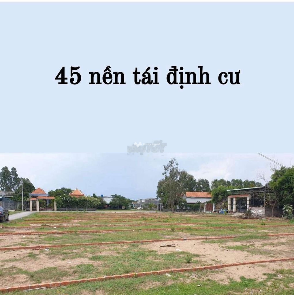 Bán đất 650 triệu, diện tích 100m2 tại Đường tỉnh 835, Xã Long Khê, Huyện Cần Đước, Long An-01