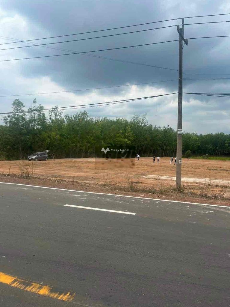 Bán đất 250 triệu, diện tích 200m2 tại DT756B, Xã Tân Quan, Huyện Hớn Quản, Bình Phước-03