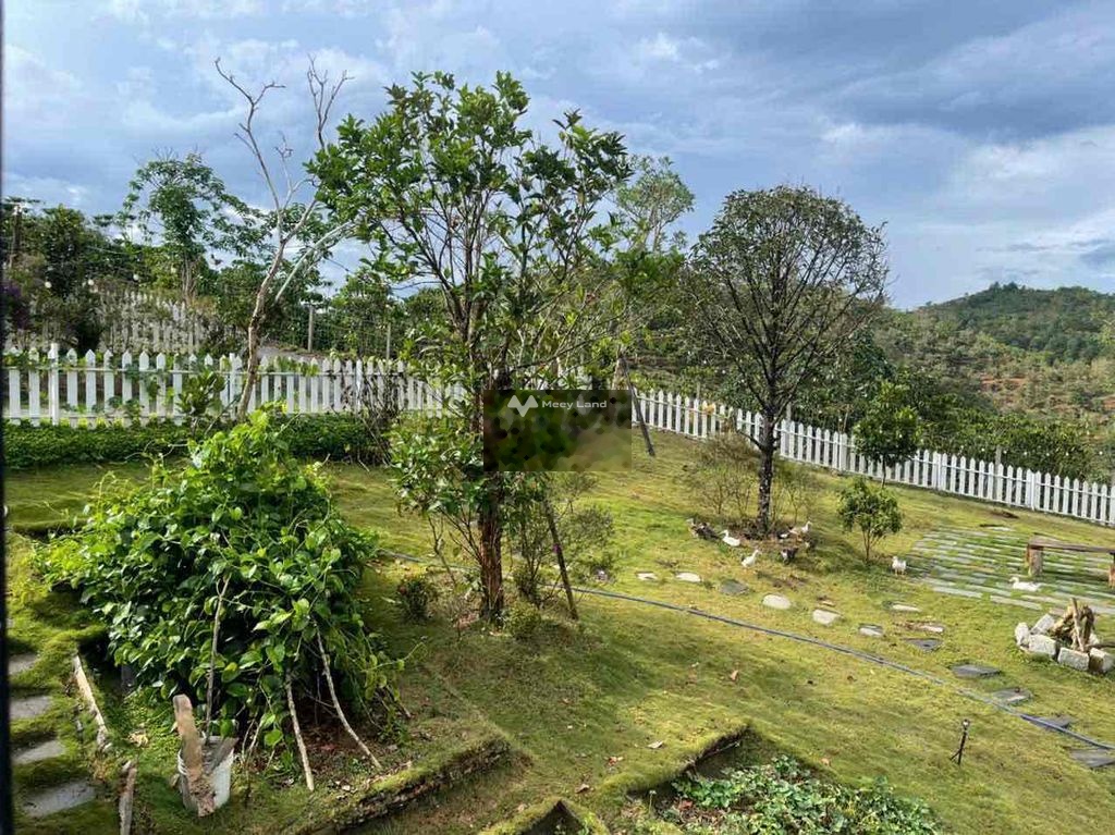 Bán đất làm homestay tại Tân Lạc, Bảo Lâm, Lâm Đồng. Diện tích 1013m2-01