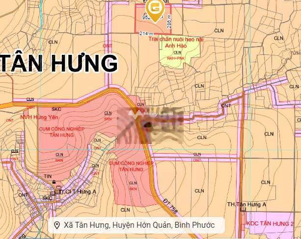 Bán đất 200 triệu, diện tích 500m2 tại Dt756, Xã Tân Hưng, Huyện Hớn Quản, Bình Phước-03