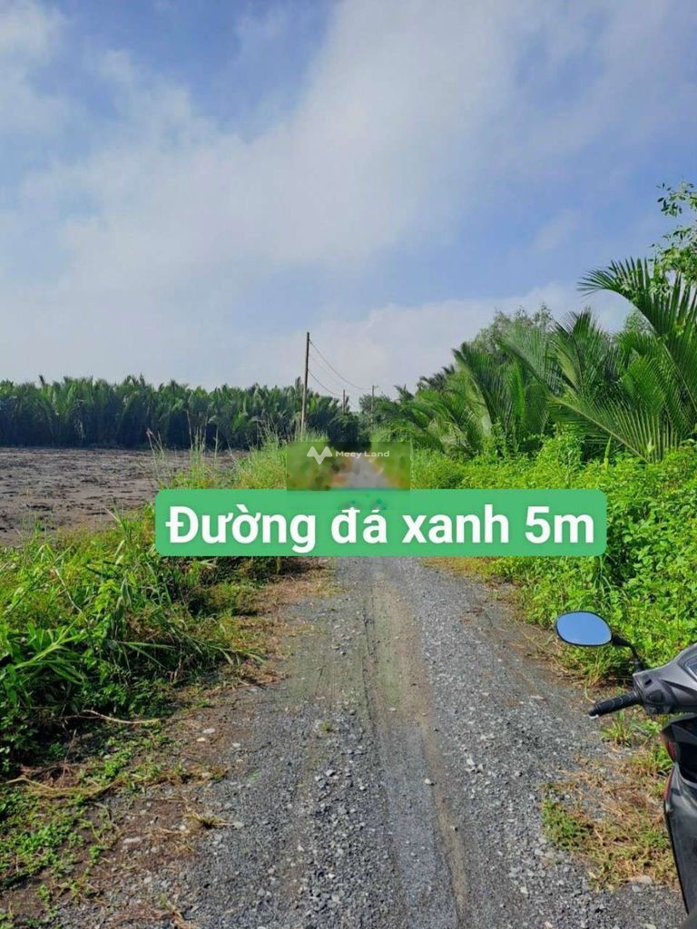 Bán đất 250 triệu, diện tích 138m2 tại Đường Tam Thôn Hiệp, Xã Tam Thôn Hiệp, Huyện Cần Giờ, Hồ Chí Minh-02