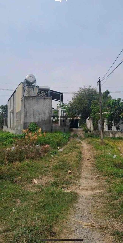 Bán đất tại Tỉnh Lộ 2, Củ Chi, Hồ Chí Minh. Diện tích 105m2-02