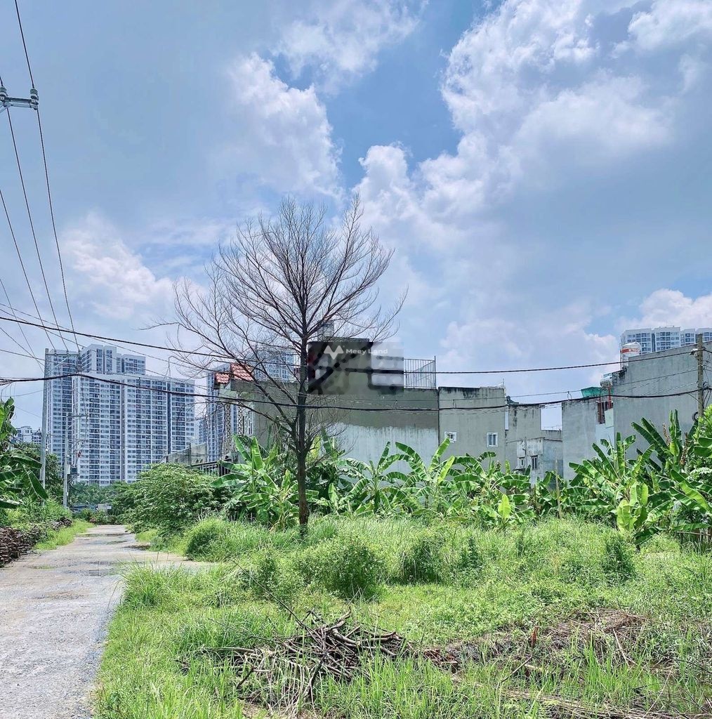Bán đất phân lô gái 4,5 tỷ, diện tích 97 m2, tại đường Số 27, Phường Long Thạnh Mỹ, thành phố Thủ Đức, Hồ Chí Minh-03