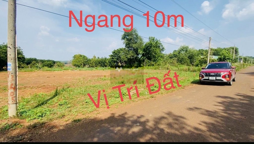 Bán đất 185 triệu, diện tích 500m2 tại Đường tỉnh 741, Xã Thuận Lợi, Huyện Đồng Phú, Bình Phước-02