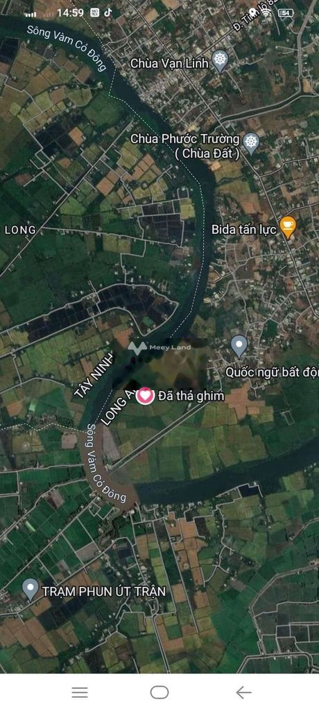 Bán đất 2,2 tỷ, diện tích 11583m2 tại Ấp An Ninh, Xã An Ninh Tây, Huyện Đức Hòa, Long An-03