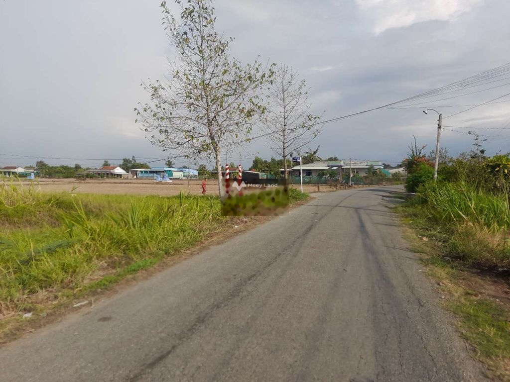 Bán lô đất mặt tiền đường tại Tân Phước, Tân Trụ, Long An. Diện tích 1010m2-03