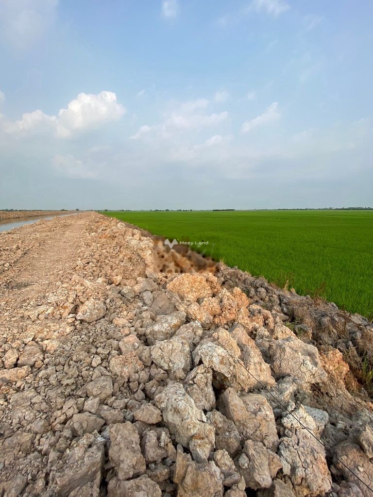 Bán đất 1,1 tỷ, diện tích 2000m2 tại Mặt tiền đường tỉnh 857, Xã Tân Mỹ, Huyện Thanh Bình, Đồng Tháp-02