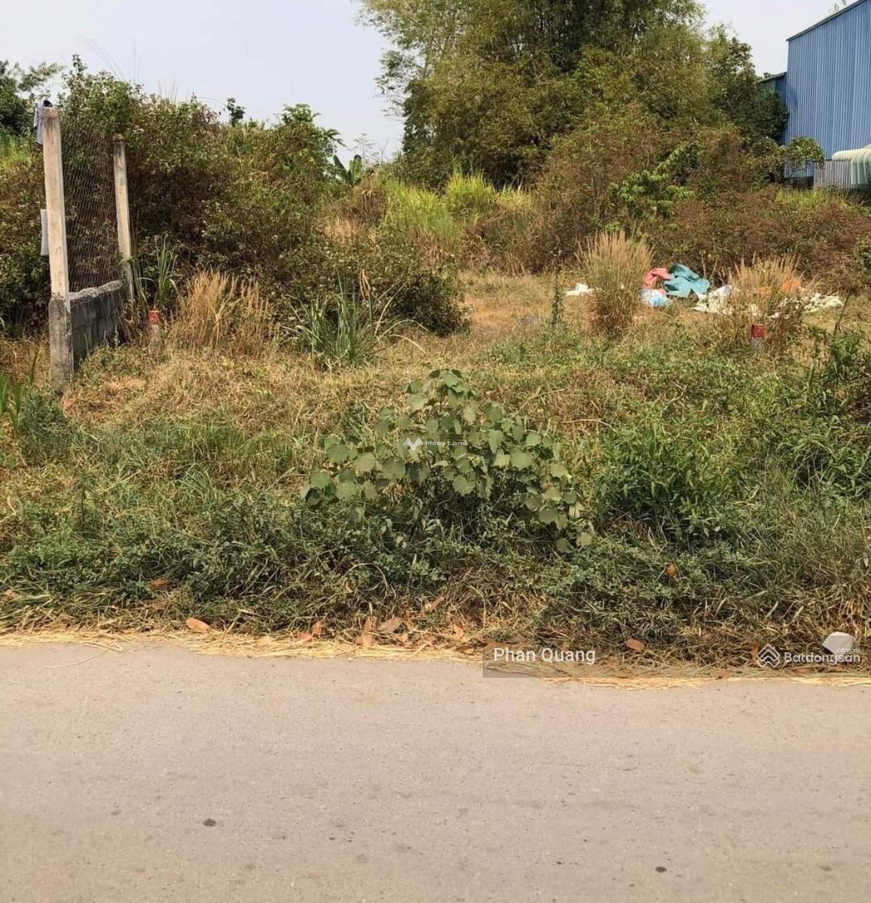 Bán lô đất 150m2 đường Nguyễn Thị Se, gần chợ Việt Kiều, Sổ hồng riêng, giá 1.4 tỷ, xung quanh đầy đủ tiện ích-02