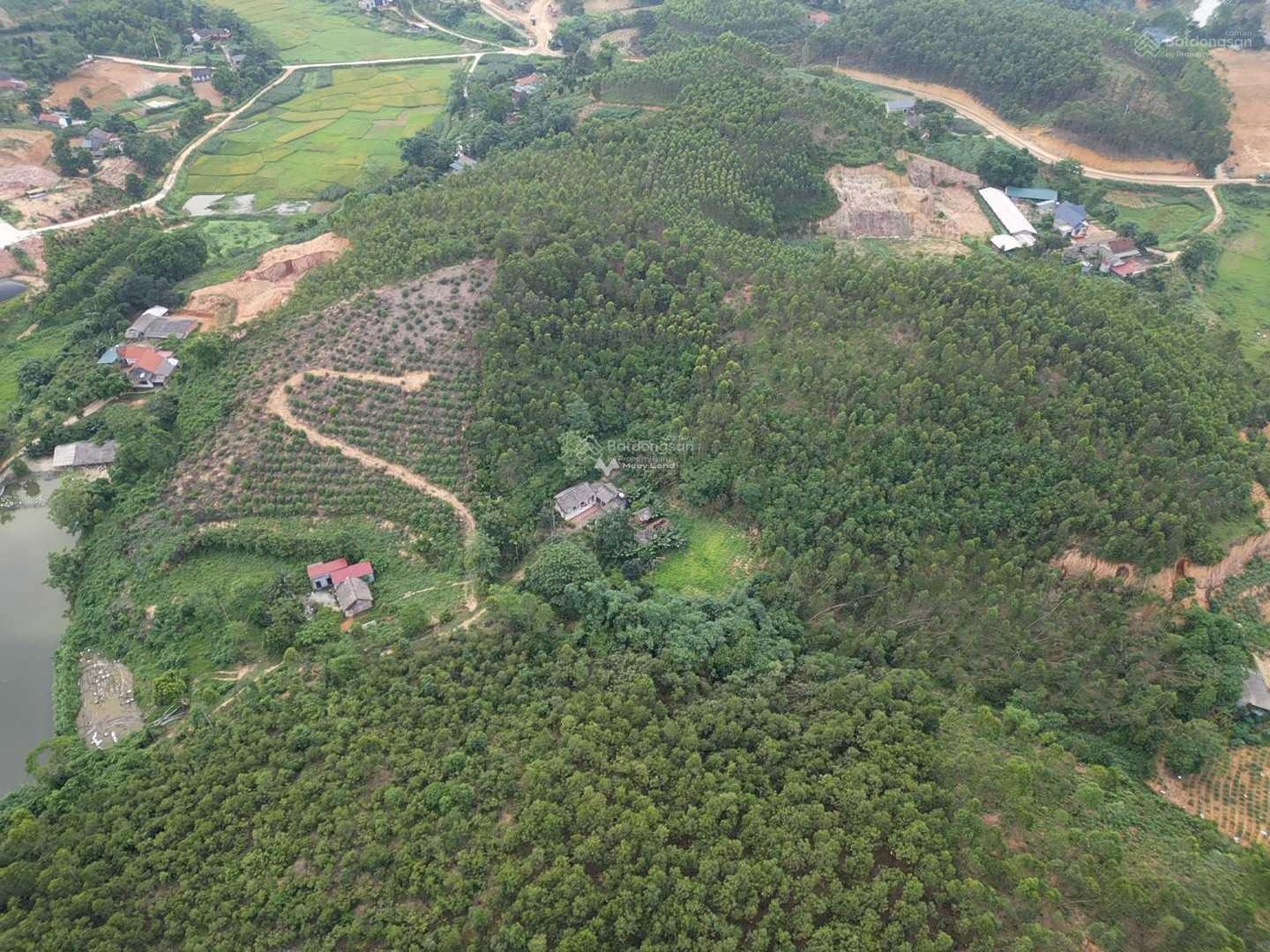 Bán đất nghỉ dưỡng diện tích 8000m2 tại Thanh Thủy, Phú Thọ-02
