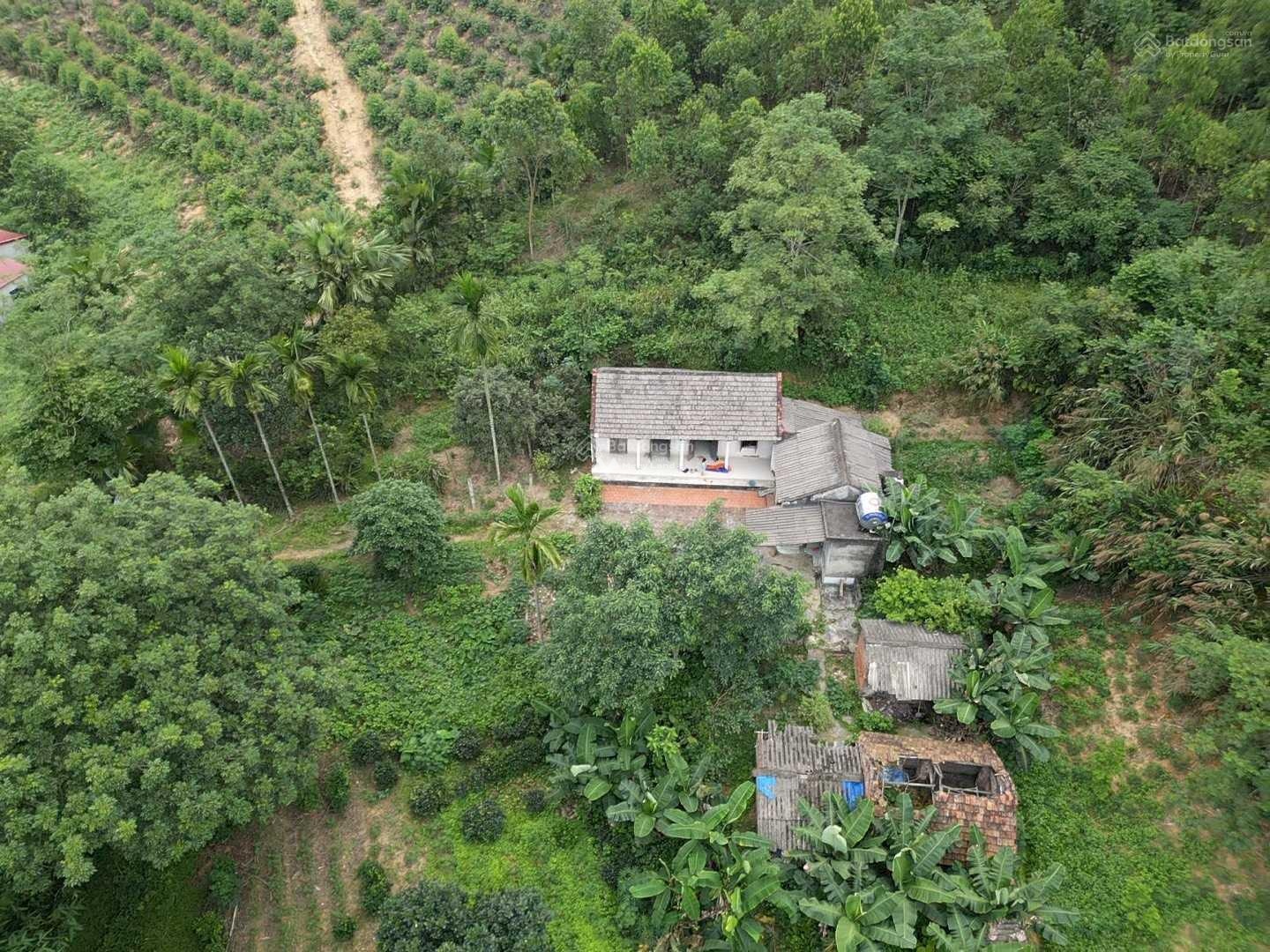 Bán đất nghỉ dưỡng diện tích 8000m2 tại Thanh Thủy, Phú Thọ-03
