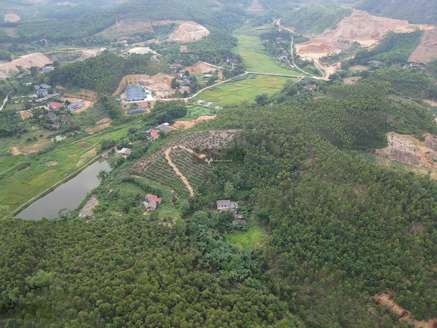 Bán đất nghỉ dưỡng diện tích 8000m2 tại Thanh Thủy, Phú Thọ-01