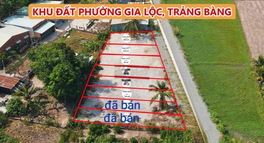 Bán đất 590 triệu, diện tích 125m2, tại Quốc Lộ 22, Thị trấn Trảng Bàng, Huyện Trảng Bàng, Tây Ninh cách quốc lộ 22 chỉ 100m2-01