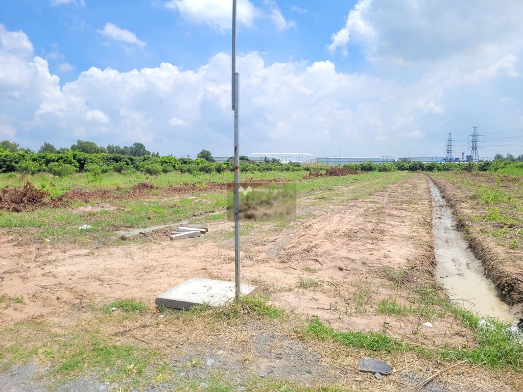 Bán đất 2,2 tỷ, diện tích 1800m2 tại âp Phước Đức B, Xã Phước Đông, kế bên KCN kinh doanh-01