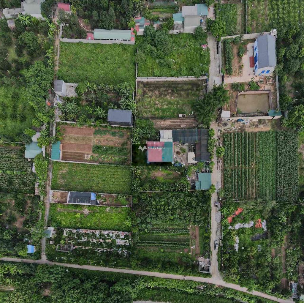 Bán đất tại Sài Sơn, Quốc Oai, Hà Nội. Diện tích 472m2-03