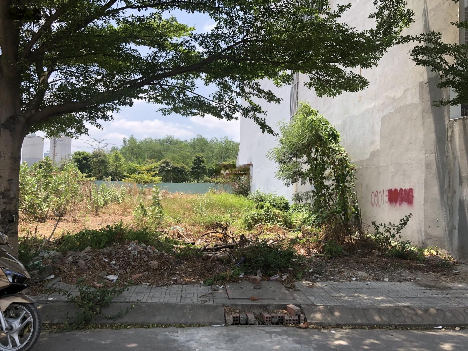 Bán đất 2,6 tỷ, diện tích 55m2 tại Nguyễn Thị Tư, Phường Phú Hữu, đường trước đất 8m, sổ hồng-03