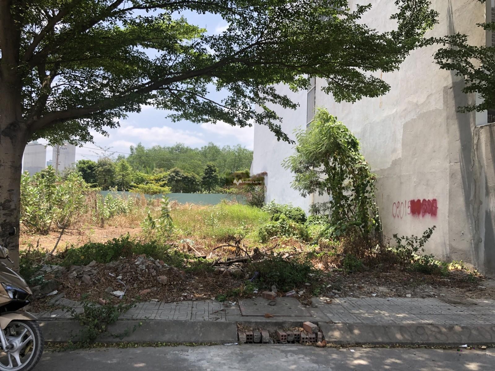 Bán đất 2,6 tỷ, diện tích 55m2 tại Nguyễn Thị Tư, Phường Phú Hữu, đường trước đất 8m, sổ hồng-02