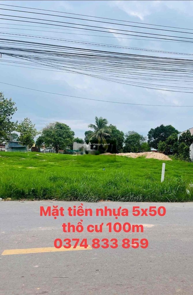 Bán đất giá 350 triệu, diện tích 250 m2, tại quốc lộ 13, xã Lộc Thịnh, Lộc Ninh-02